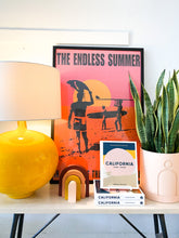 Load image into Gallery viewer, LARGE ETCH PLANTER