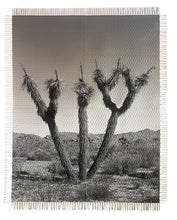 Load image into Gallery viewer, Framed Art - KARMA TREE 5