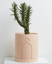 Load image into Gallery viewer, LARGE ETCH PLANTER