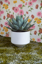 Load image into Gallery viewer, CONE PLANTER - SMALL WHITE