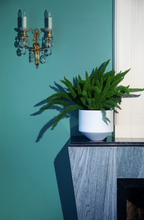 Load image into Gallery viewer, CONE PLANTER - WHITE LARGE