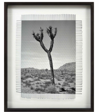 Load image into Gallery viewer, Framed Art - KARMA TREE 2