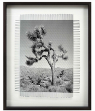 Load image into Gallery viewer, Framed Art - KARMA TREE 4