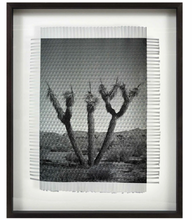 Load image into Gallery viewer, Framed Art - KARMA TREE 5