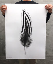 Load image into Gallery viewer, FEATHER STUDY #2