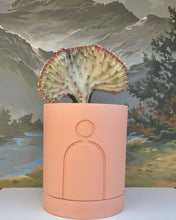 Load image into Gallery viewer, LARGE ETCH PLANTER