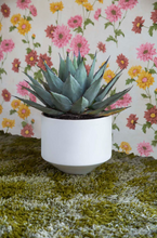 Load image into Gallery viewer, CONE PLANTER - WHITE LARGE
