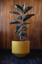 Load image into Gallery viewer, CONE PLANTER - SAFFRON LARGE