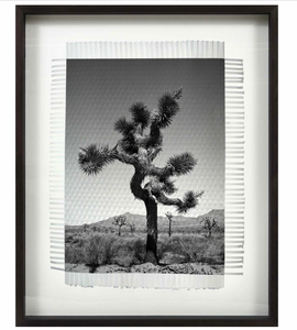 Framed Art - KARMA TREE 1