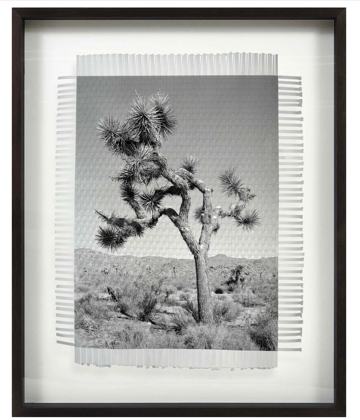 Framed Art - KARMA TREE 4