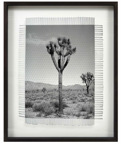 Framed Art - KARMA TREE 6