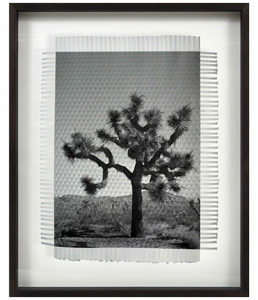 Framed Art - KARMA TREE 7