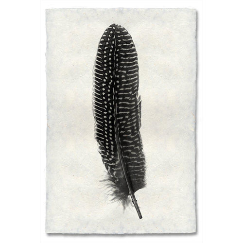 FEATHER STUDY #5