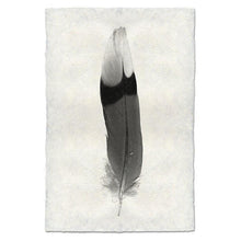 Load image into Gallery viewer, FEATHER STUDY #9